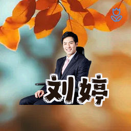 刘婷